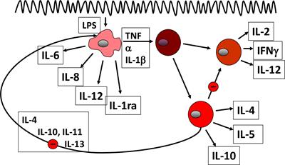 Current and future aspects of IBD research and treatment: The 2022 perspective